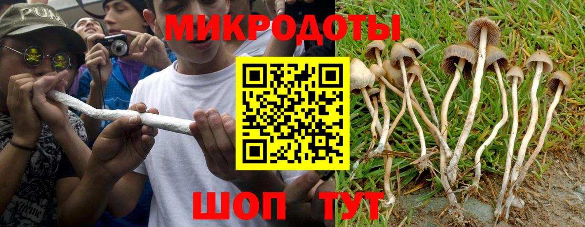 Магадан  где продают   Вход с VPN  Галлюциногенные грибы MAGIC MUSHROOMS  Псилоцибиновые грибы мухоморы 
